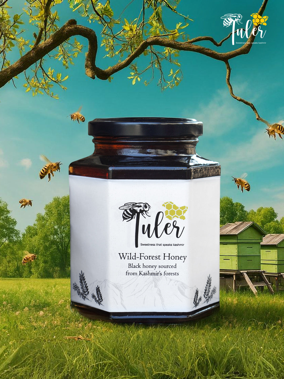 Kashmiri Wild Forest Honey